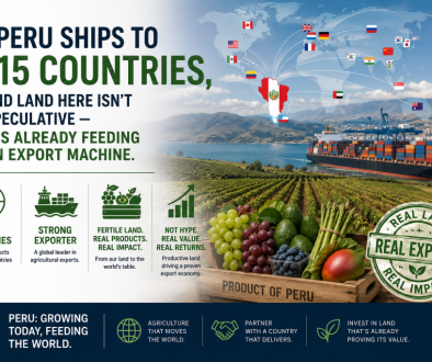 INVESTING SAFELY IN THE # 1 AGRICULTURAL COUNTRY IN THE WORLD: PERU Copy